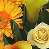 Florists