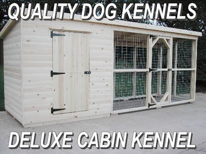 dog kennels quality luxury runs kennel freeindex scarborough