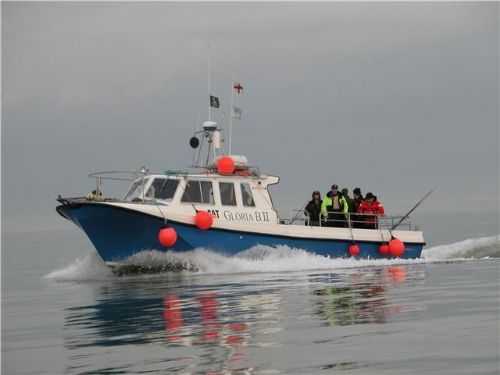 gloria b11 - boat and fishing charter in clacton-on-sea uk