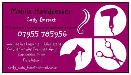 Carly Cuts Hair Kent 1 Review