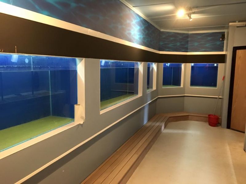 88 Aquarium Design Glasgow HD Terbaik