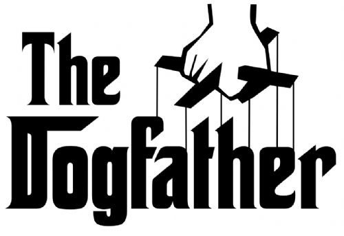 The Dogfather Devon - Dog Walker in Plympton, Plymouth (UK)