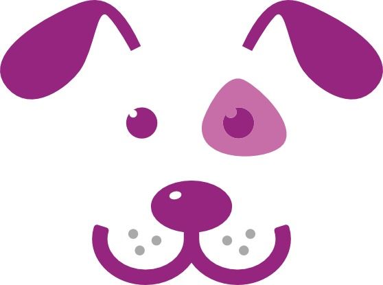 Wiggle and Wagg Professional Pet Care - Dog Walker in ...