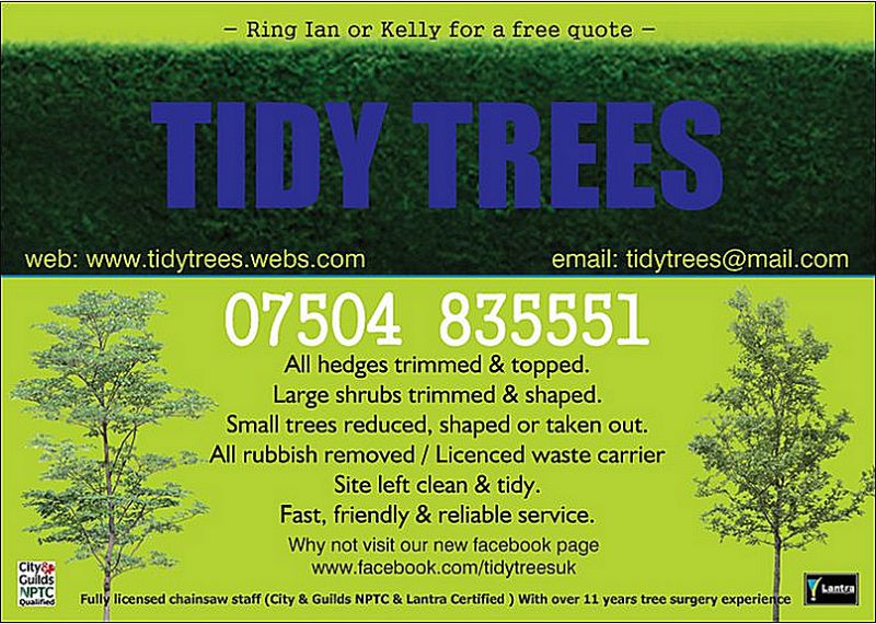 to how get licence p Tree 10 Trees, FreeIndex  reviews  Nottingham Surgeon   Tidy