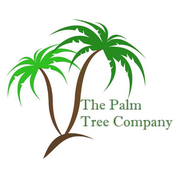 The Palm Tree Company, Clitheroe | Garden Centre - FreeIndex