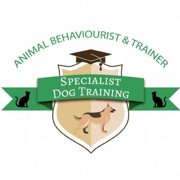 Specialist Dog Training, Sittingbourne | Dog Trainer - FreeIndex